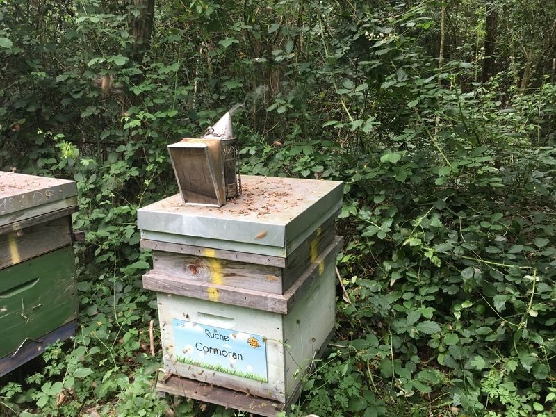 La ruche Cormoran