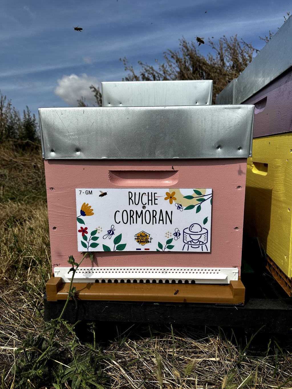 La ruche Cormoran