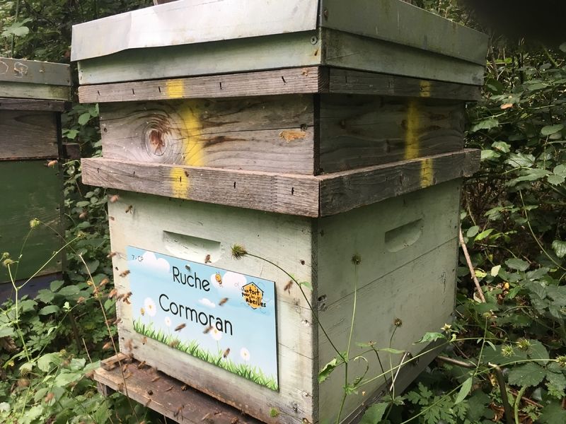 La ruche Cormoran