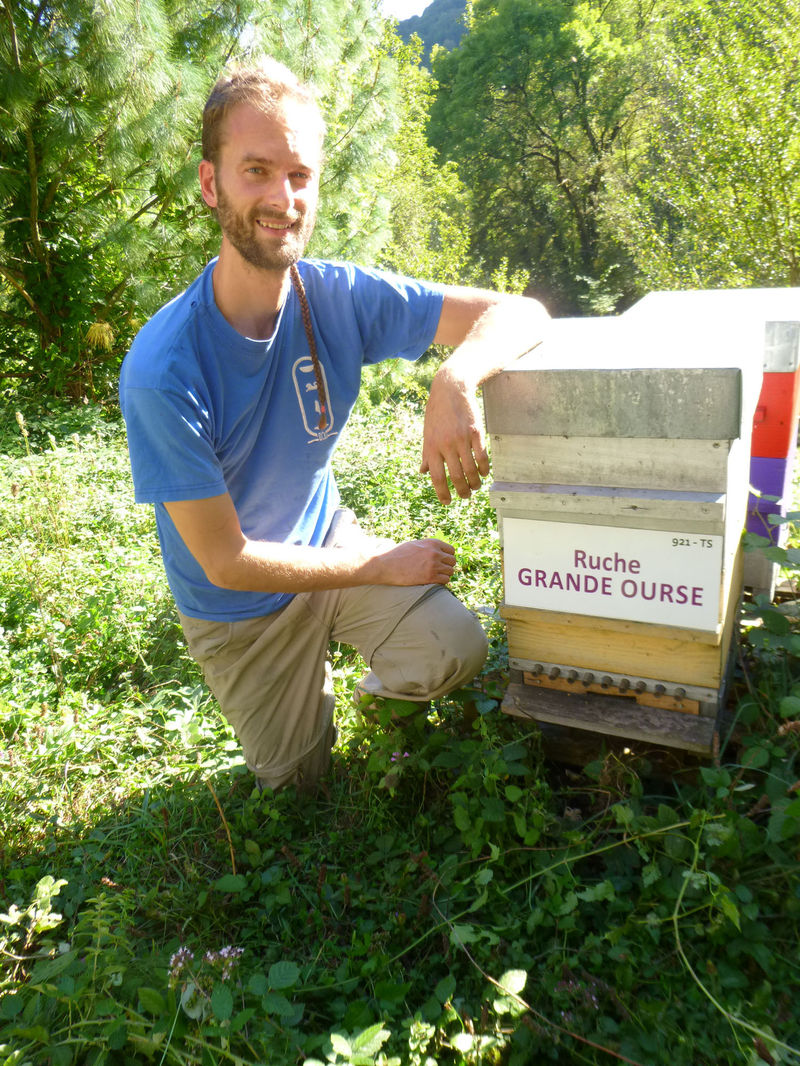 La ruche Grande Ourse