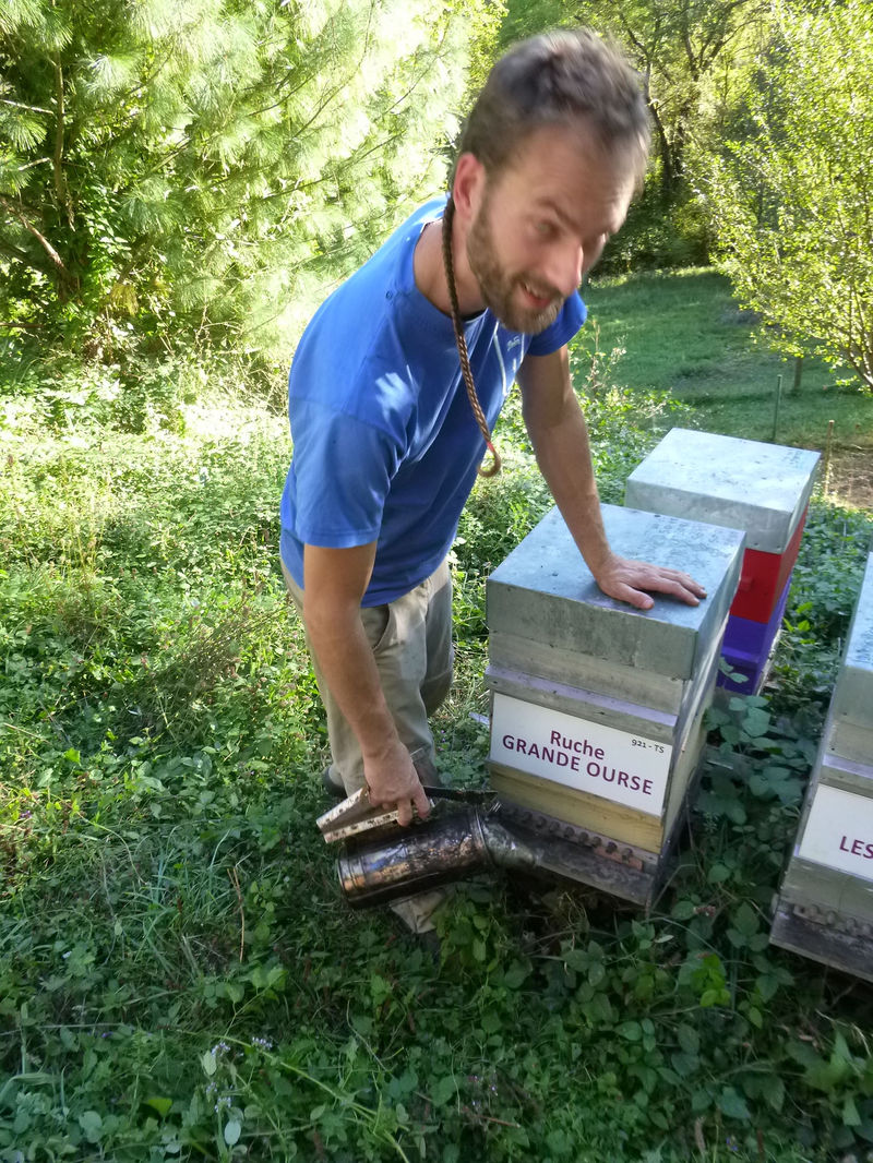 La ruche Grande Ourse