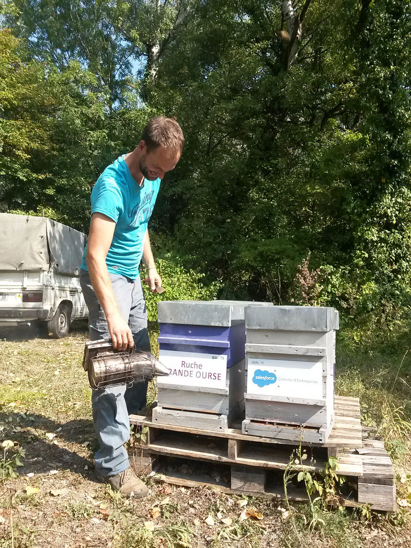 La ruche Grande Ourse