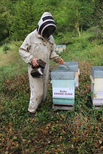 La ruche Grande Ourse