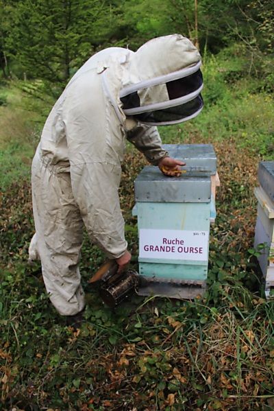 La ruche Grande Ourse