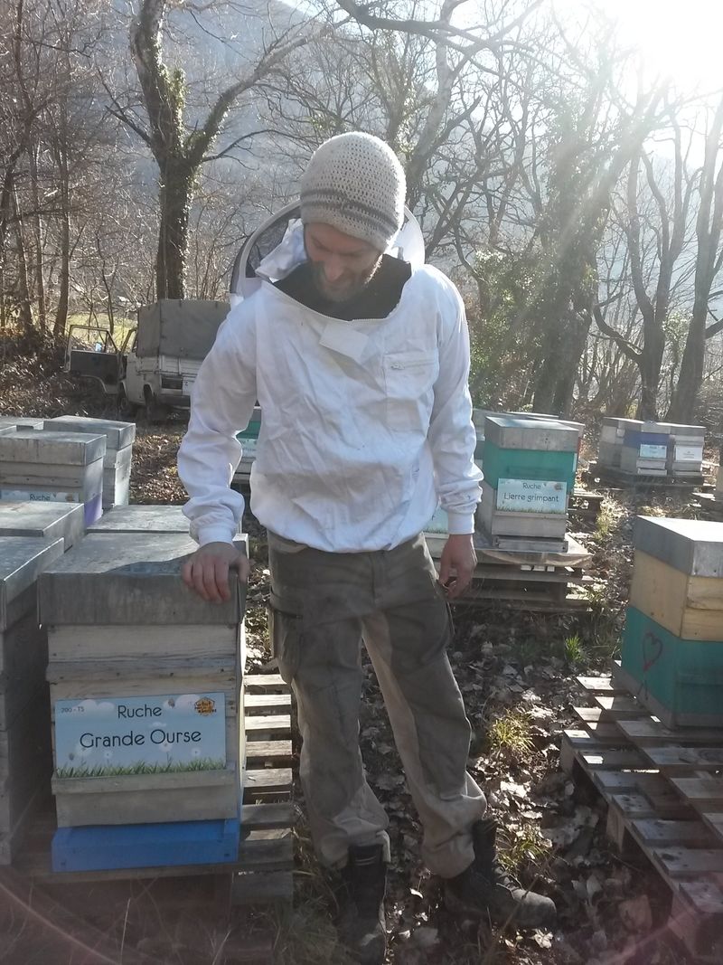 La ruche Grande Ourse