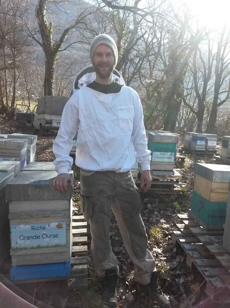 La ruche Grande Ourse