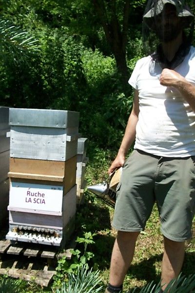 La ruche La scia
