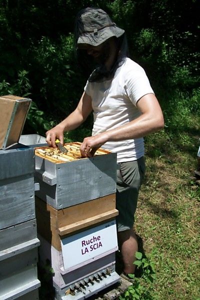 La ruche La scia