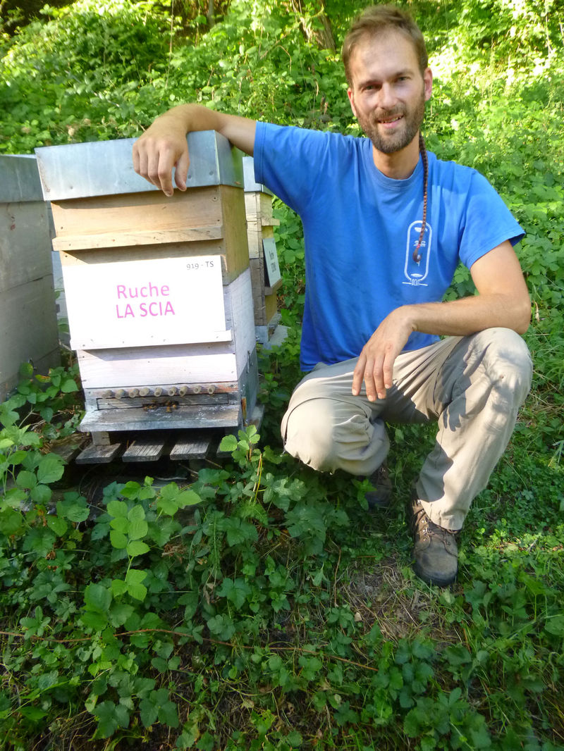 La ruche La scia