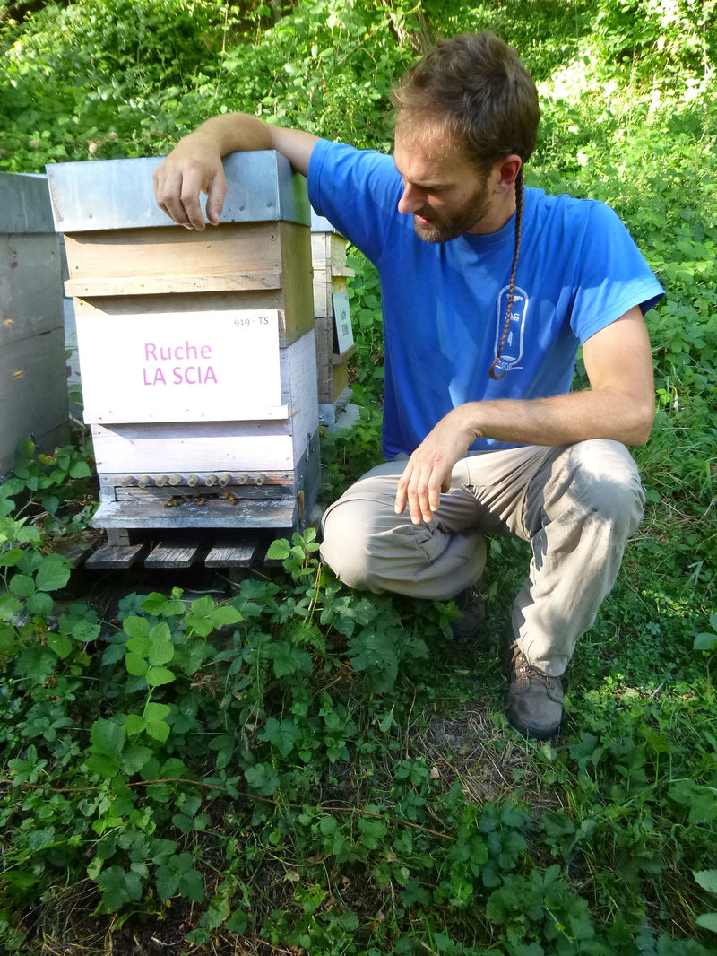 La ruche La scia