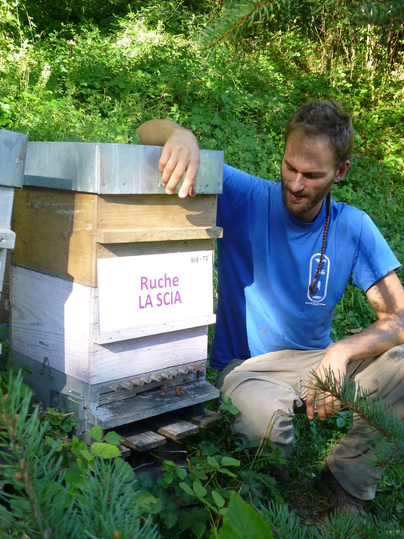 La ruche La scia