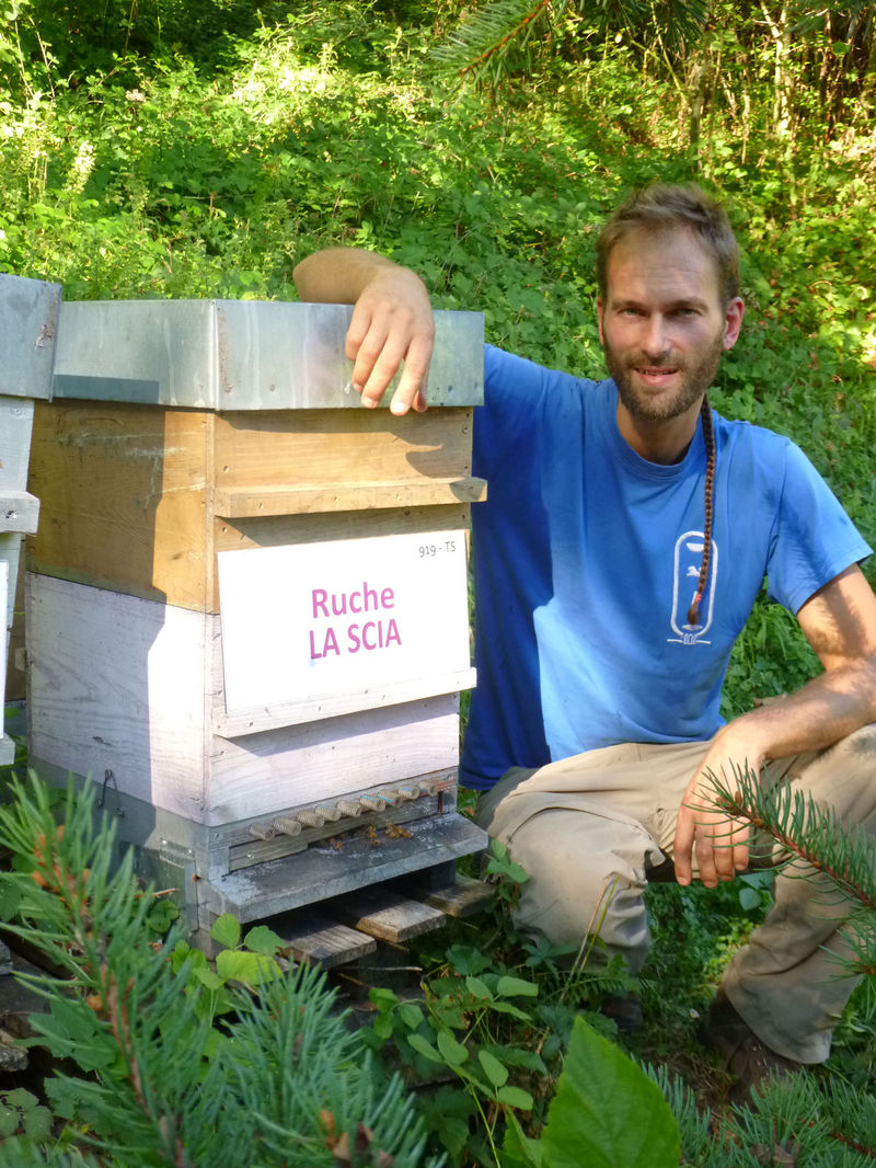 La ruche La scia