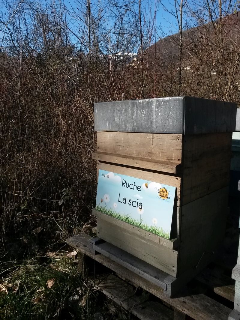 La ruche La scia