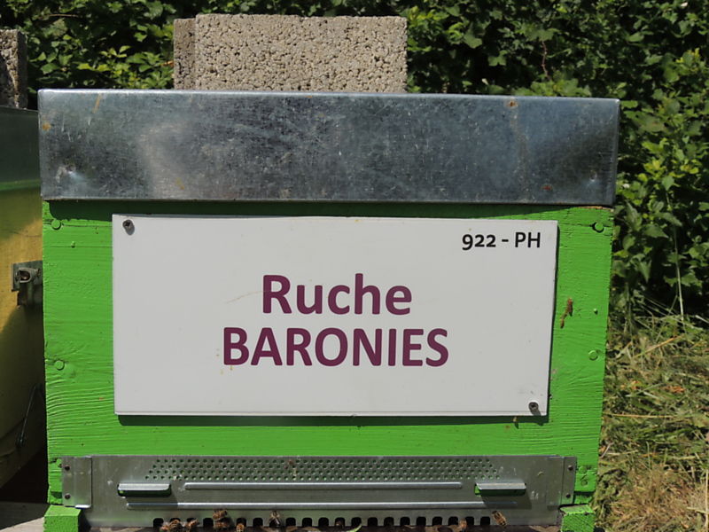 La ruche Baronies