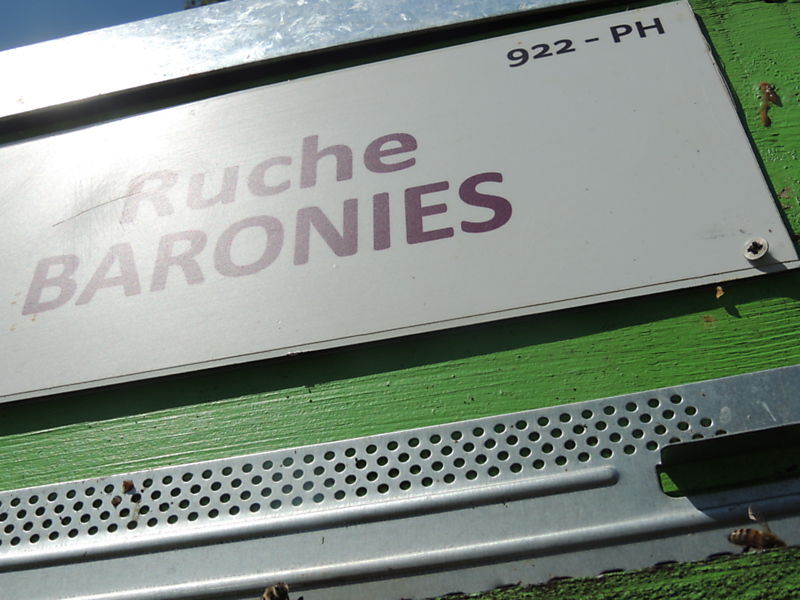 La ruche Baronies