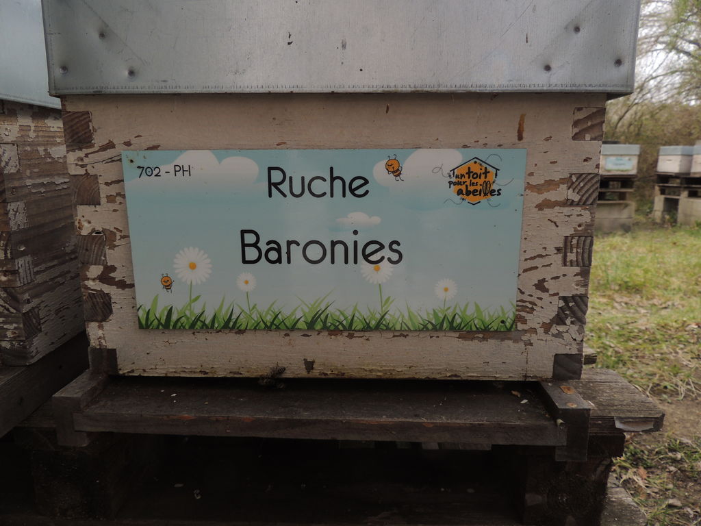 La ruche Baronies
