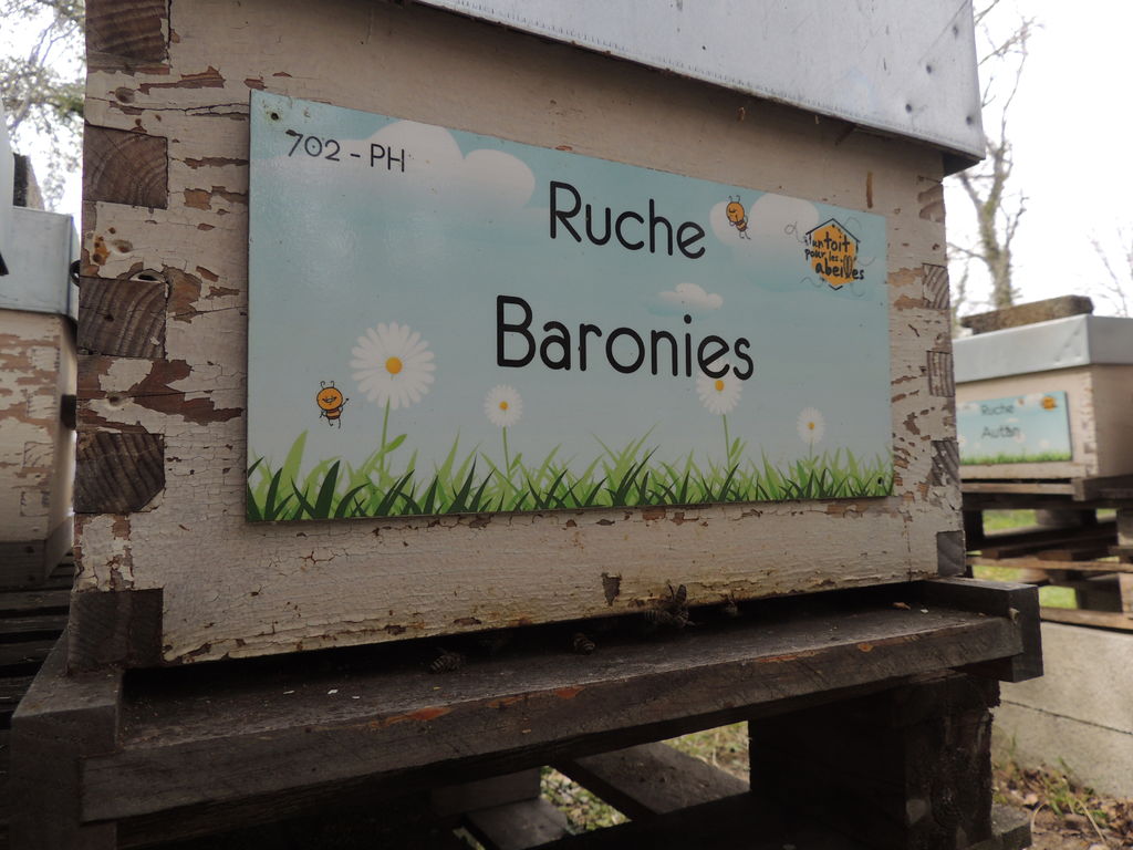 La ruche Baronies