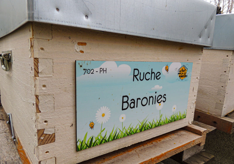 La ruche Baronies