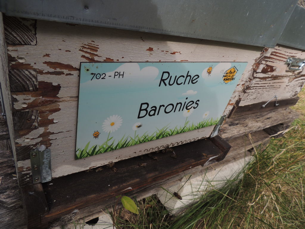La ruche Baronies