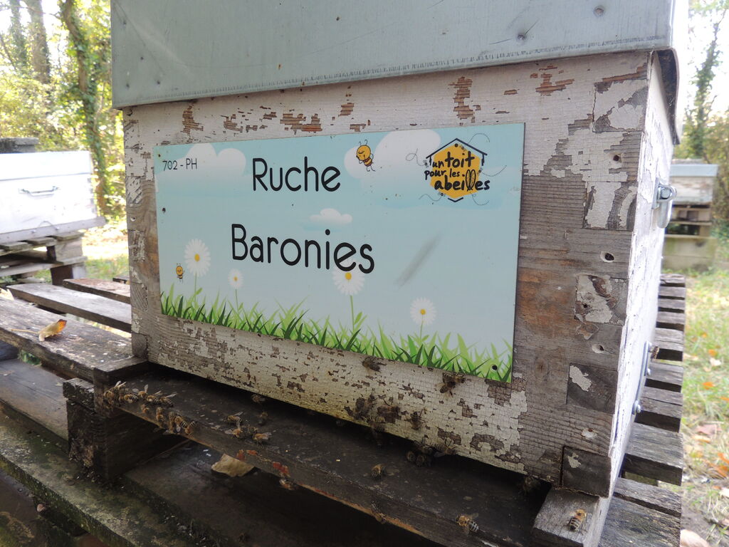 La ruche Baronies