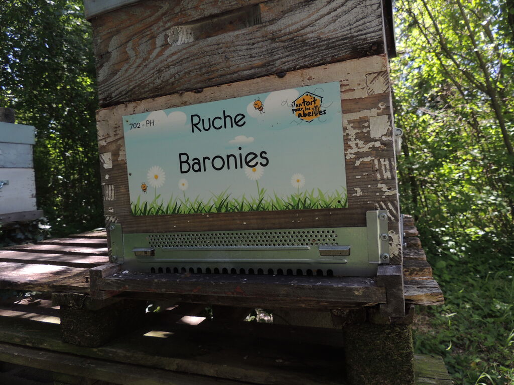 La ruche Baronies
