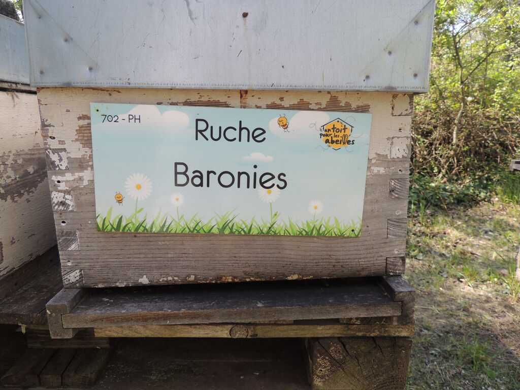 La ruche Baronies