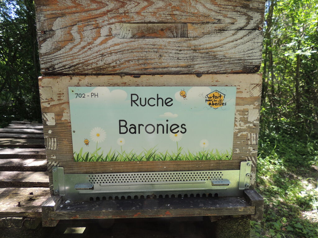 La ruche Baronies