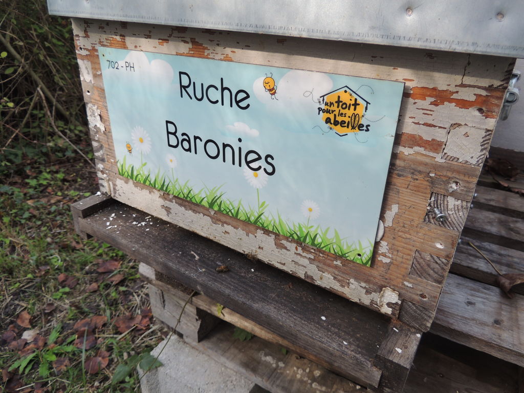 La ruche Baronies