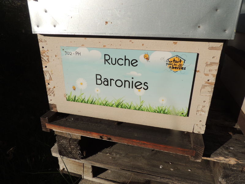 La ruche