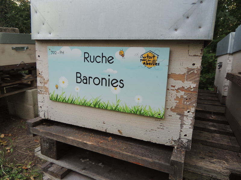 La ruche Baronies