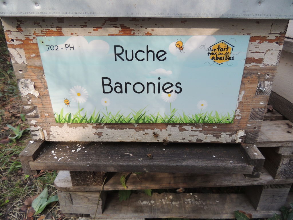 La ruche Baronies