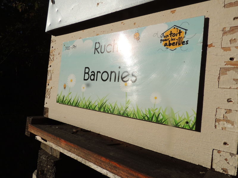 La ruche Baronies