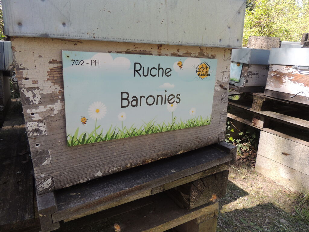 La ruche Baronies