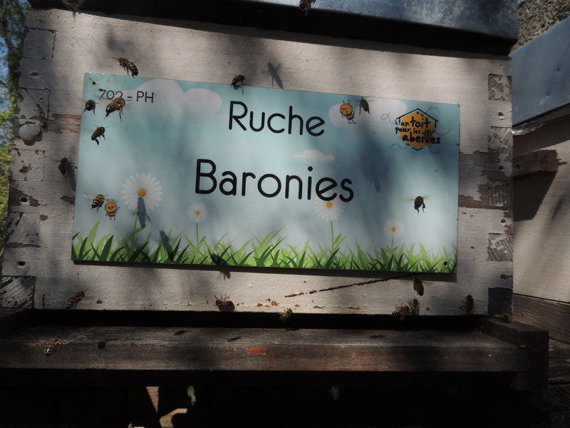 La ruche Baronies