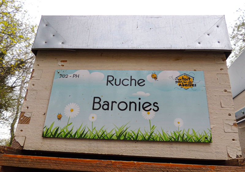 La ruche Baronies