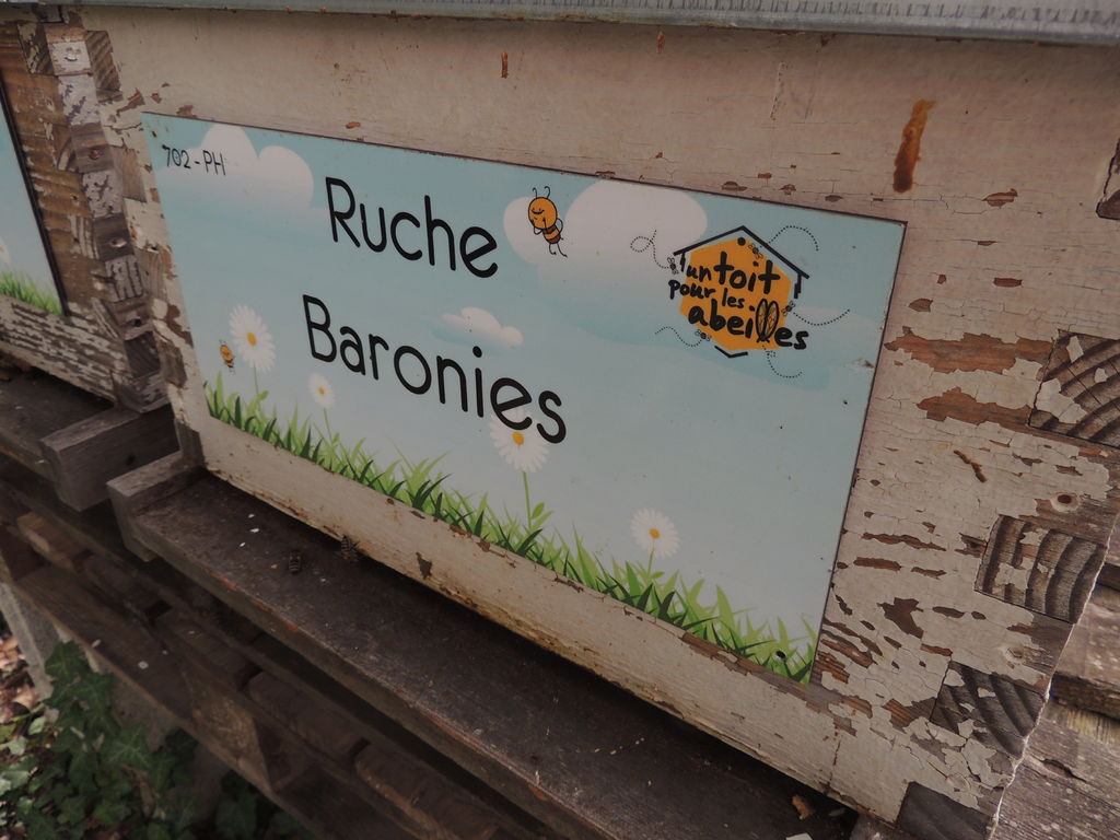 La ruche Baronies