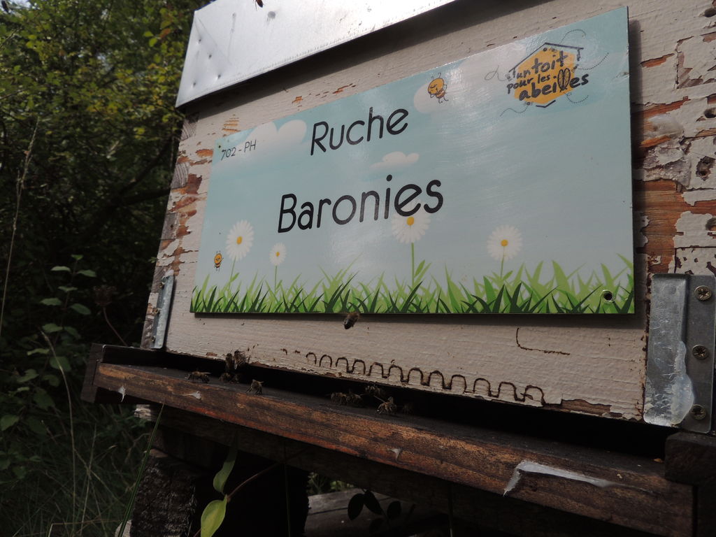 La ruche Baronies