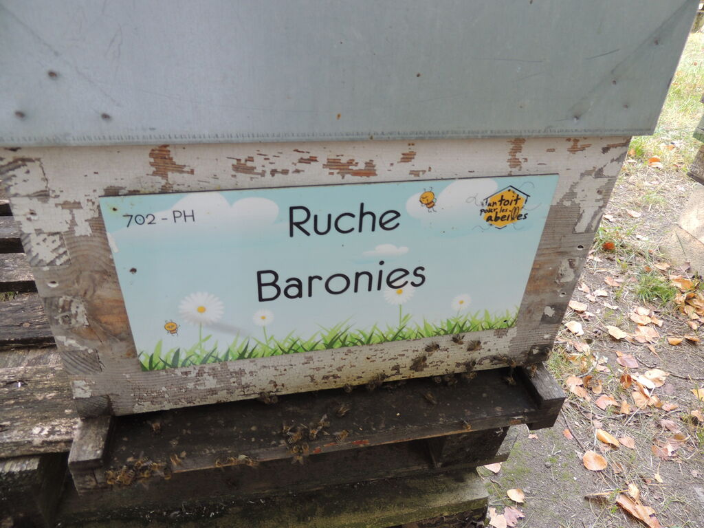 La ruche Baronies