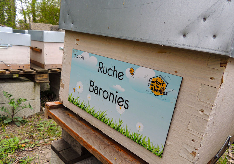 La ruche Baronies