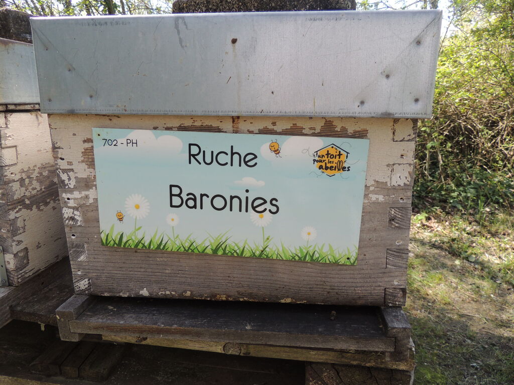 La ruche Baronies