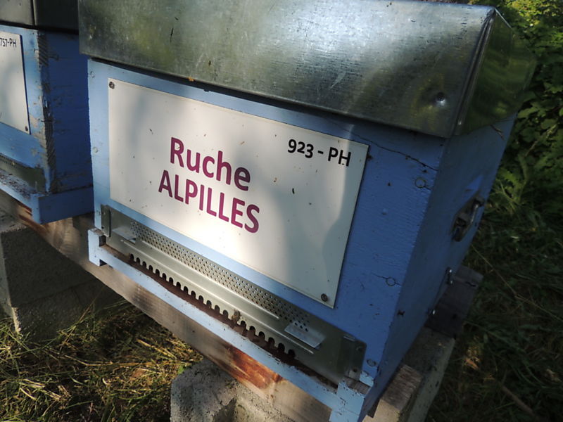 La ruche Alpilles