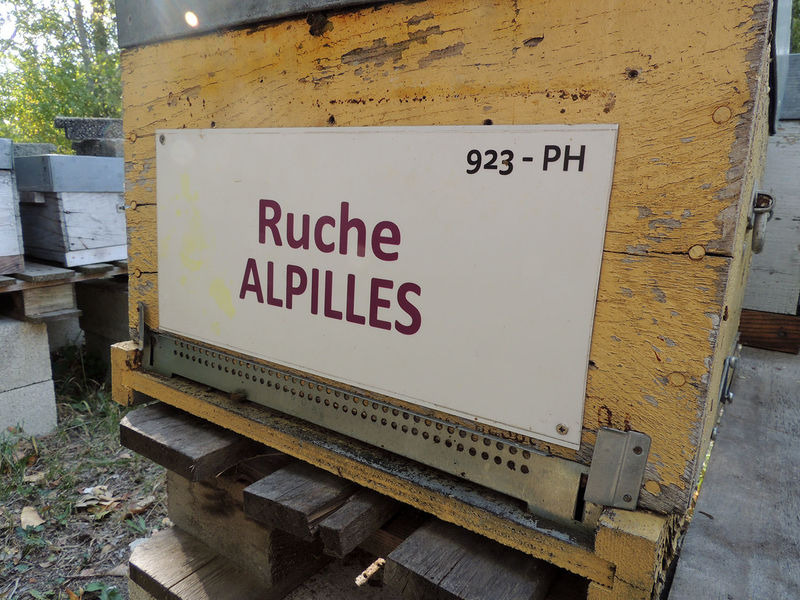 La ruche Alpilles
