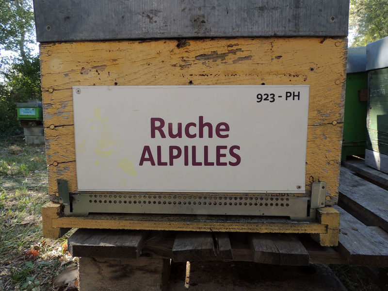 La ruche Alpilles