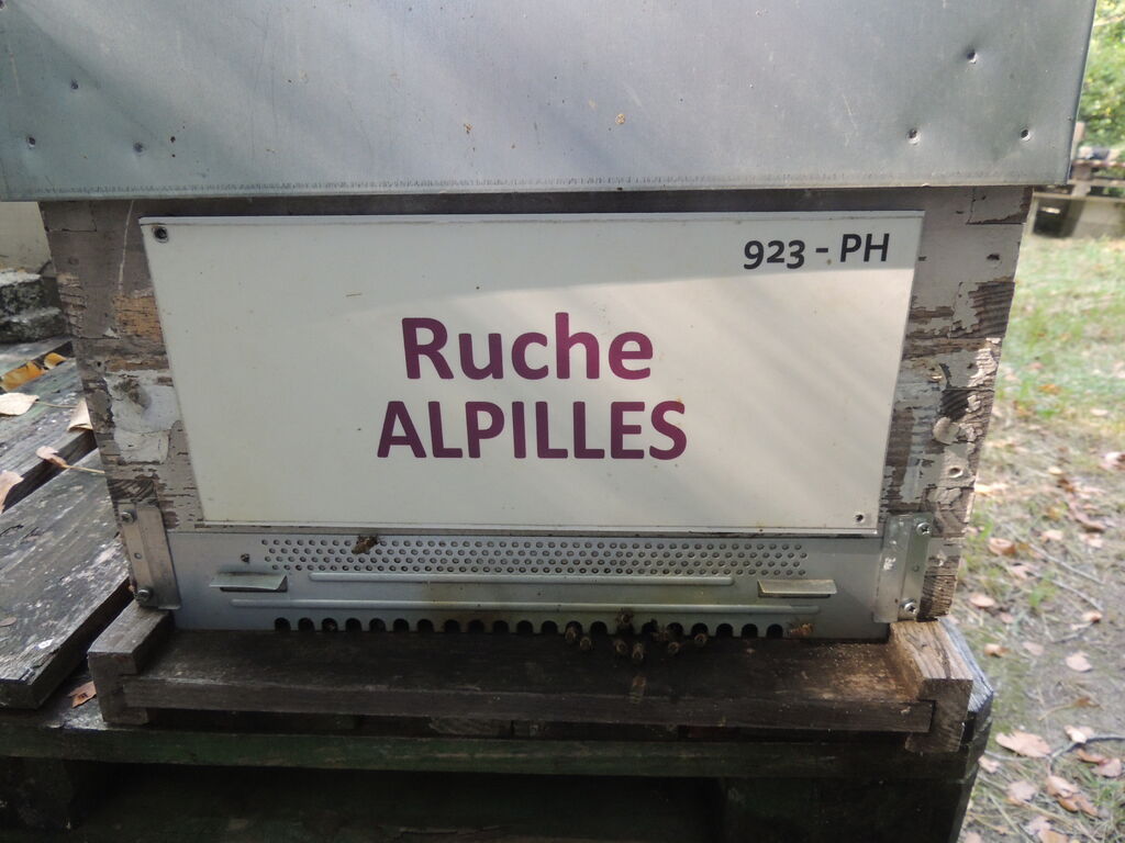La ruche Alpilles