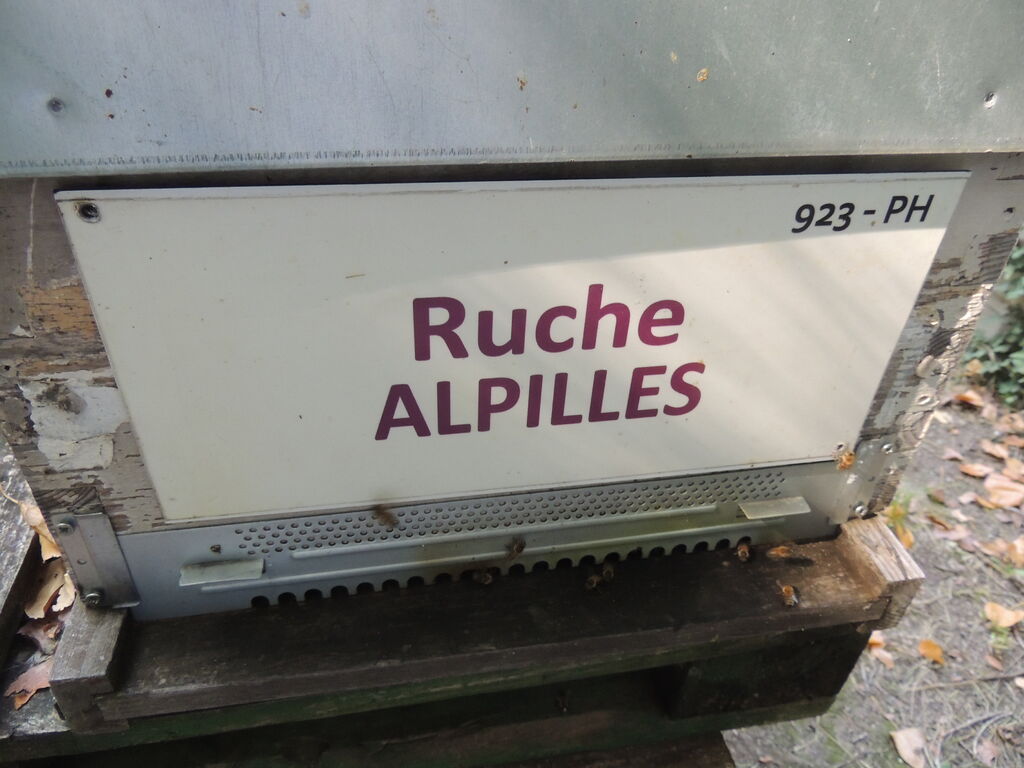 La ruche Alpilles