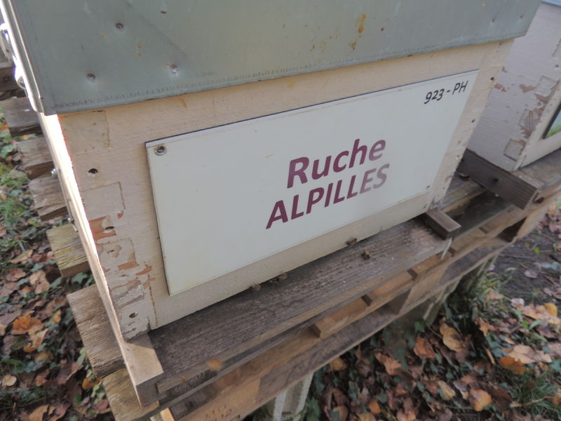 La ruche Alpilles