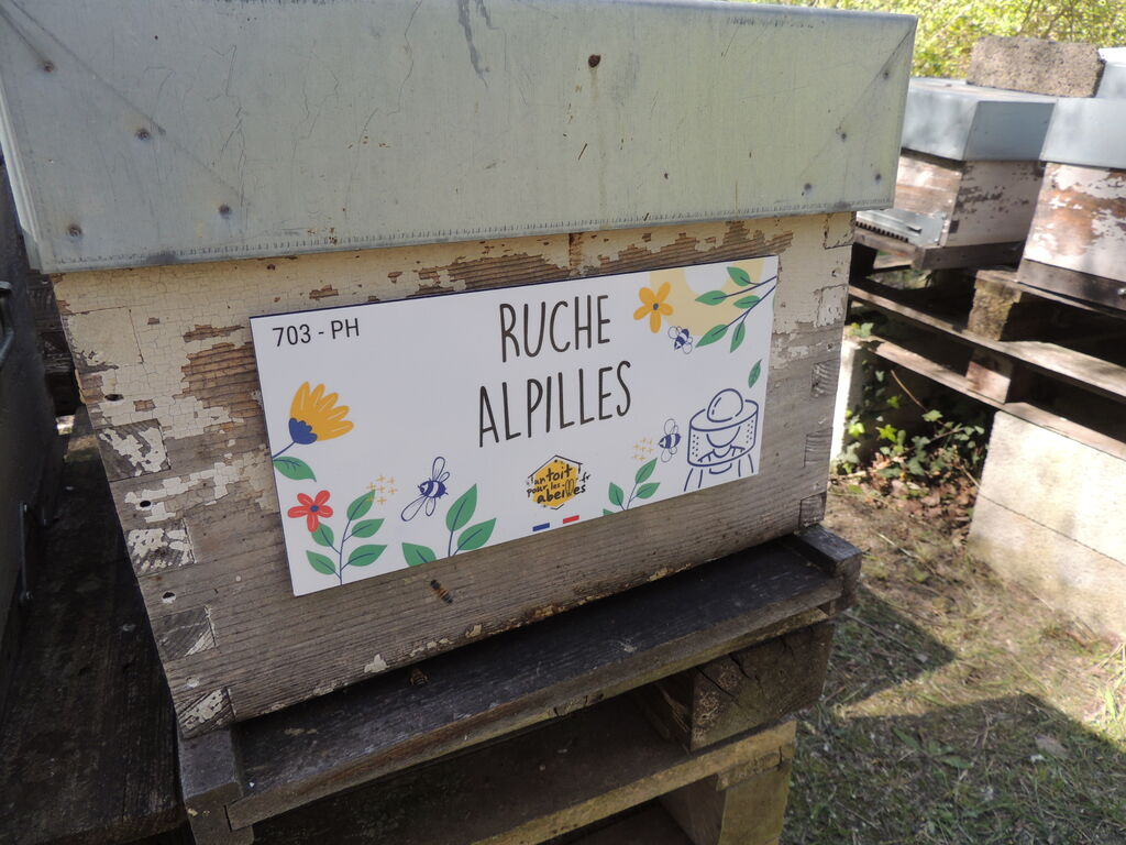 La ruche Alpilles