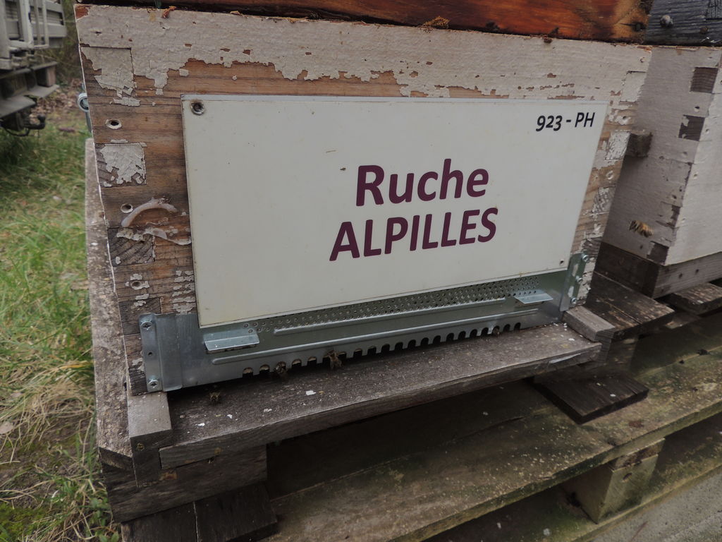 La ruche Alpilles