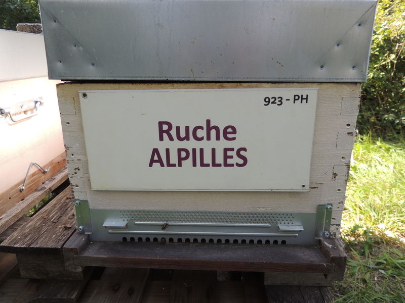 La ruche Alpilles