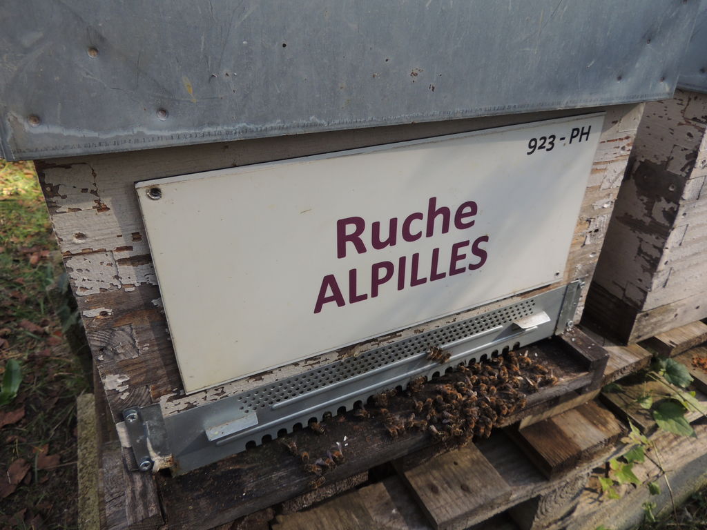 La ruche Alpilles